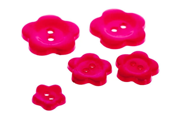 Several pink buttons in flower shape — Stock Photo, Image