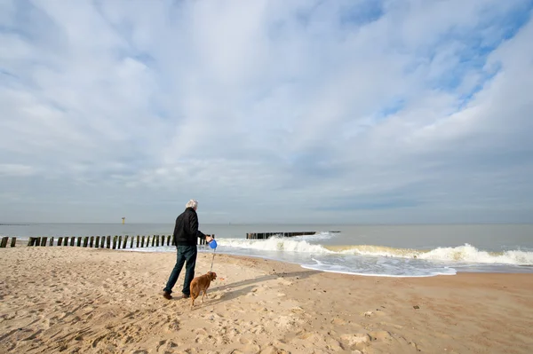 海滩上带着狗的男人 — 图库照片