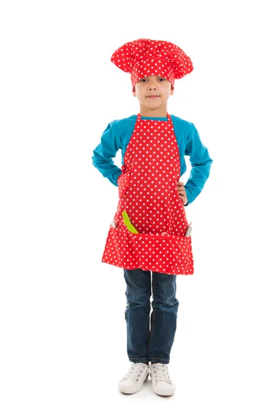 Studio portrait boy as little cook — Stock Photo, Image