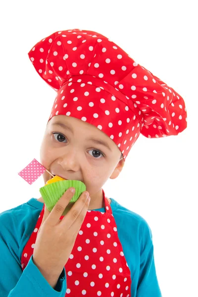 Studio portrait boy as little cook — Stock Photo, Image