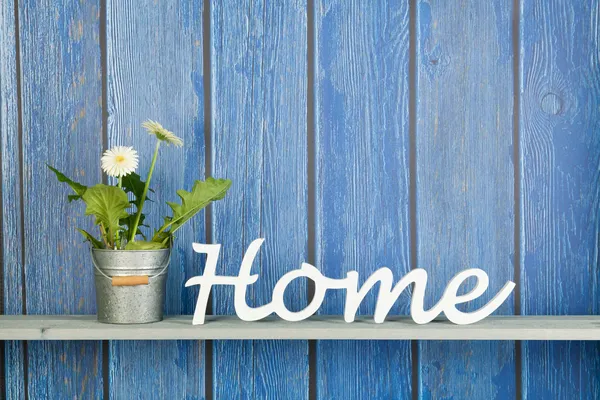 Gerber planta con flores blancas en casa —  Fotos de Stock