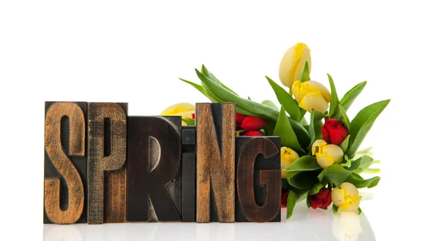 Spring — Stock Photo, Image