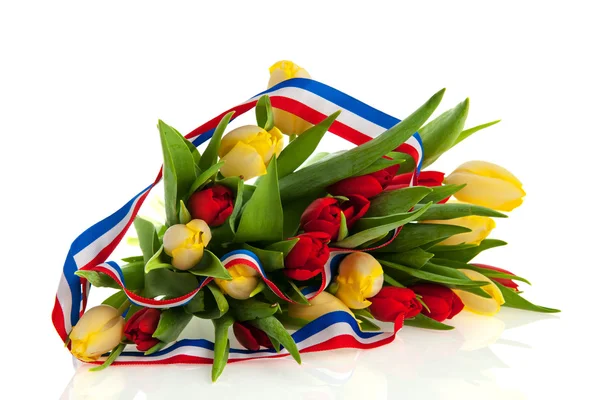 Dutch tulips — Stock Photo, Image