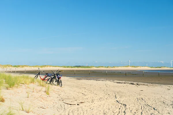 Άμπωτη στο νησί borkum — Φωτογραφία Αρχείου