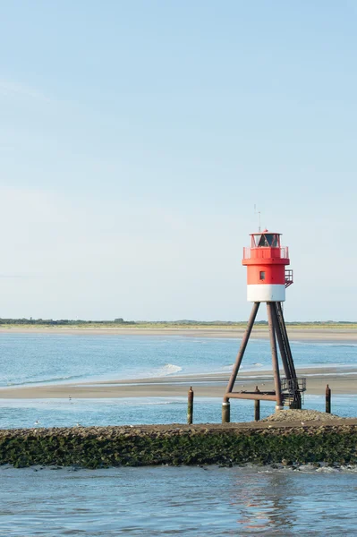 Borkum 岛 — 图库照片