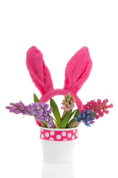 Bouquet Hyacinths with easter ears — Stock Photo, Image