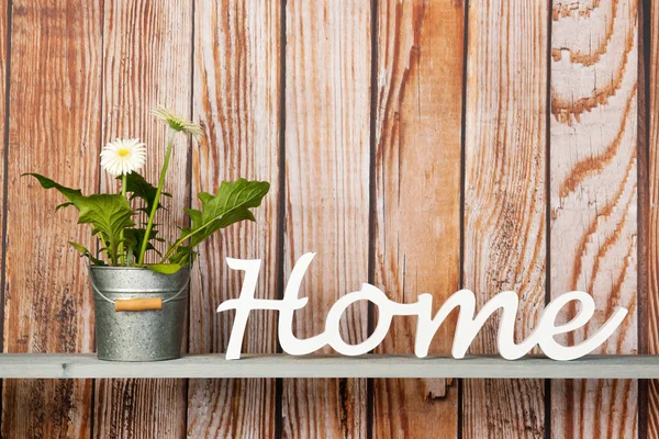 Topf mit weißer Gerberpflanze zu Hause — Stockfoto