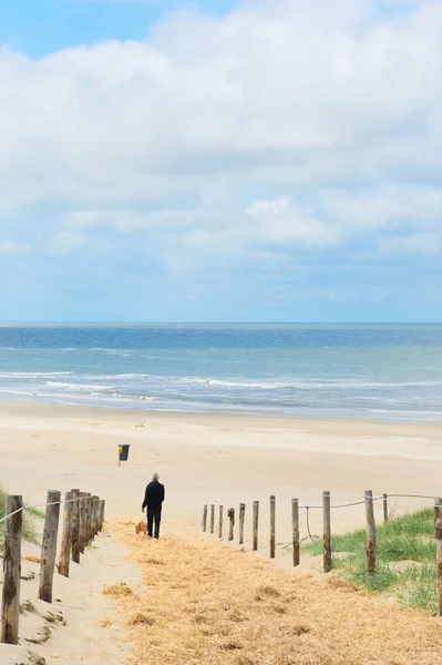 Praia e dunas em Dutch Texel — Fotografia de Stock