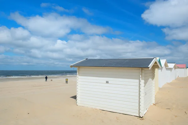 Modré plážové chatky na texel — Stock fotografie