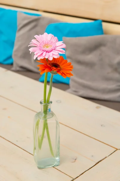 Florero Gerber flores en el interior — Foto de Stock