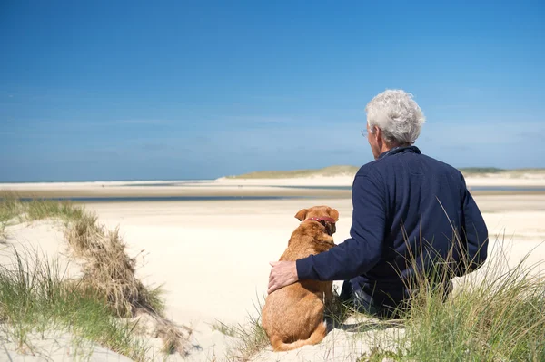 Mann mit Hund auf Sanddüne — Stockfoto