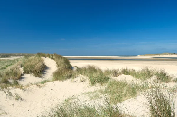 Dunes de sable sur la côte — Photo