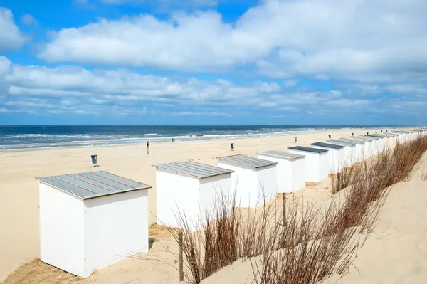 Modré plážové chatky na texel — Stock fotografie