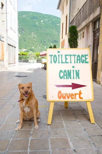 Hond toilet in Frankrijk — Stockfoto