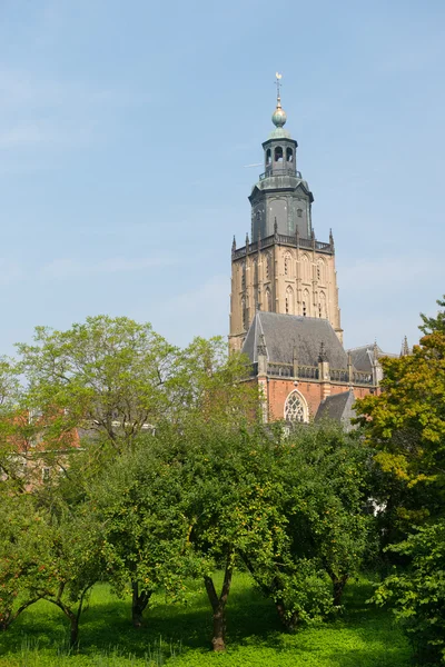 Nederlandse kerktoren — Stockfoto