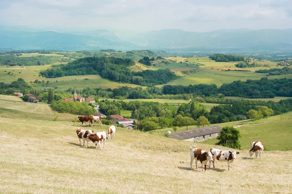 Französische Landschaft — Stockfoto