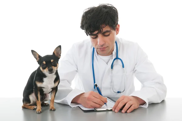 Veterinarian with dog — Stock Photo, Image