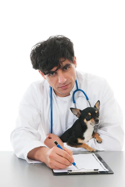 Κτηνίατρος με σκύλο — Φωτογραφία Αρχείου