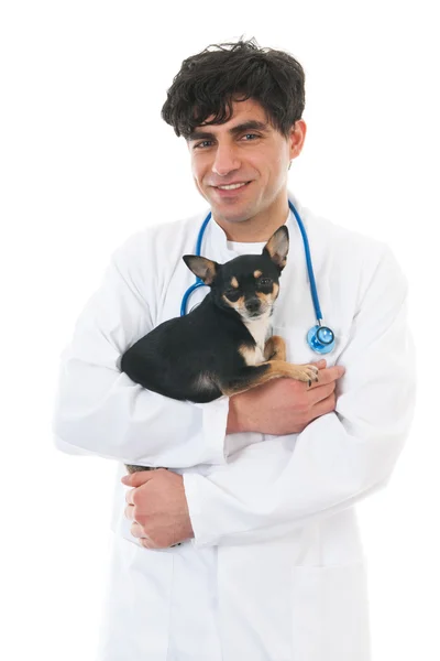 Veterinário com cão — Fotografia de Stock
