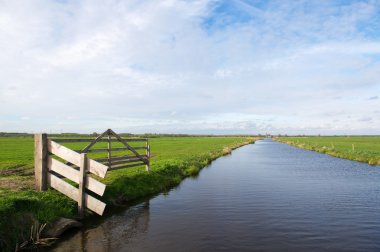 Hollandalı polder arkemheen 