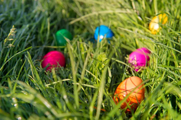 Ovos de Páscoa na grama — Fotografia de Stock