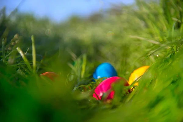 Ovos de Páscoa na grama — Fotografia de Stock