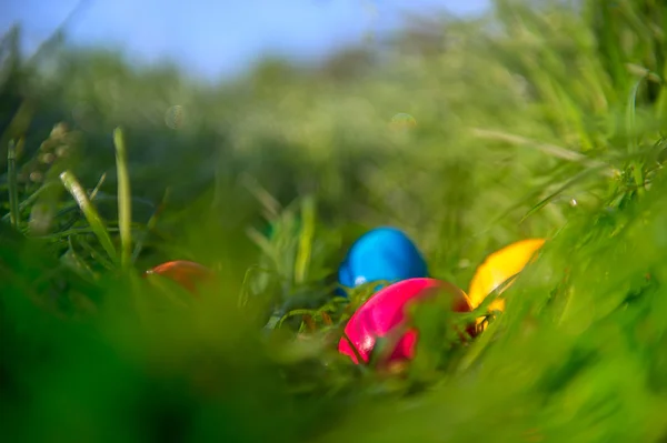 Huevos de Pascua en la hierba —  Fotos de Stock