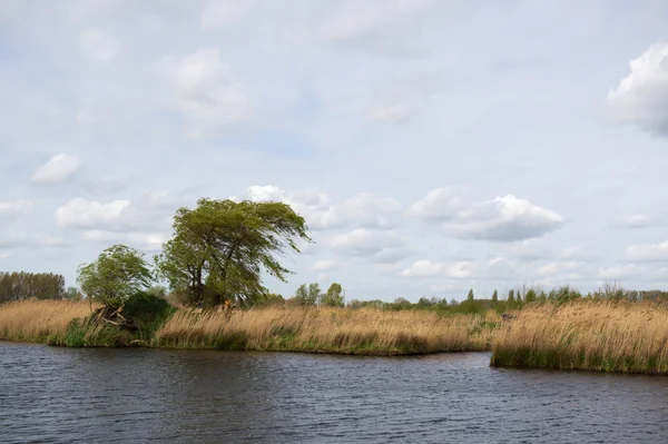 Arkemheen polder — Fotografia de Stock