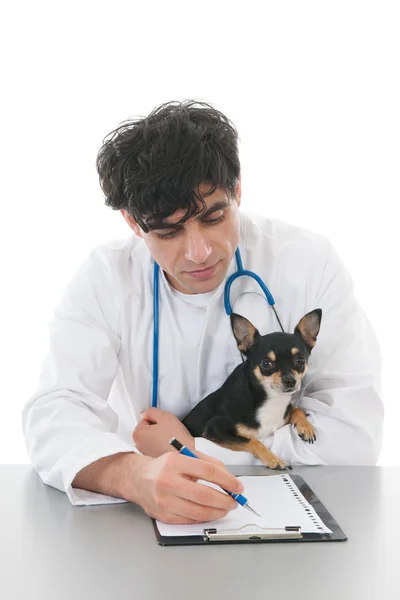 Veterinário com cão — Fotografia de Stock