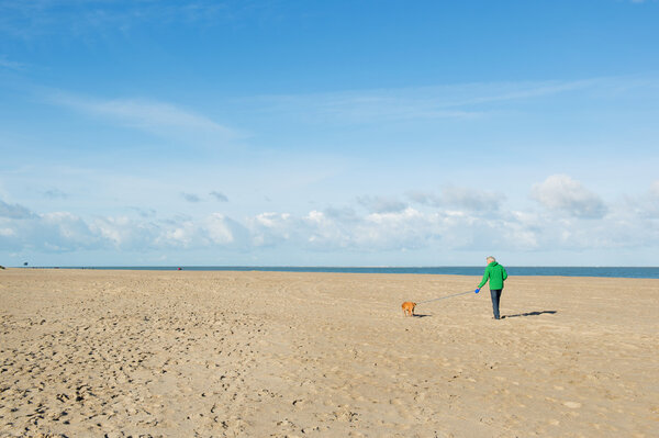 Man walking with dog at the beach