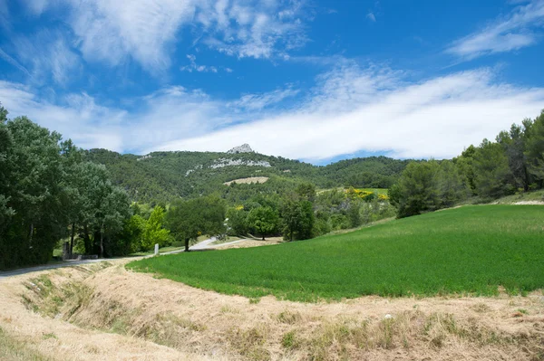 Krajobraz drome prowansalskim we Francji — Zdjęcie stockowe