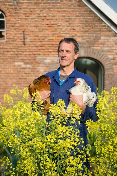 Agricoltore con polli — Foto Stock