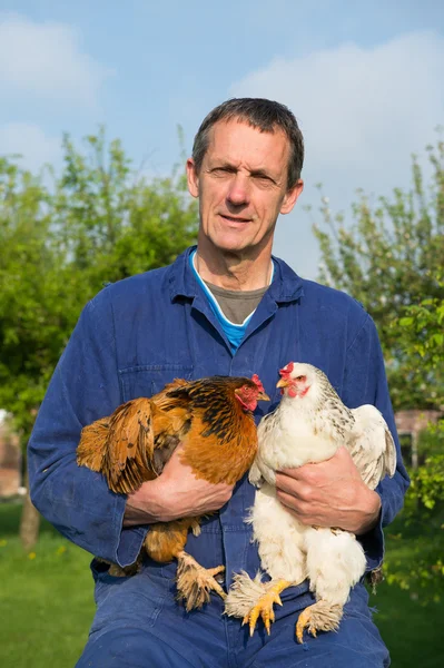 Farmář s kuřaty — Stock fotografie