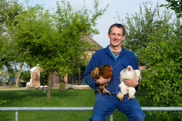 Agricultor com galinhas — Fotografia de Stock