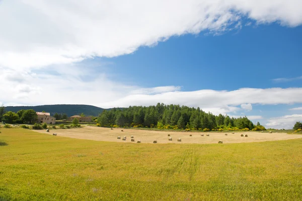 Rural French landscape — Stock Photo, Image