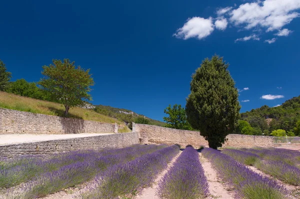 Landscape French Luberon — Stock Photo, Image