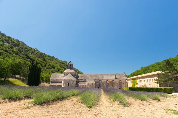 Abadía en Senanque francés — Foto de Stock