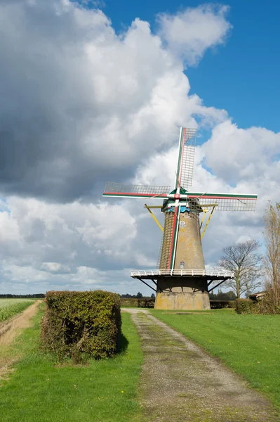 Moulin à vent néerlandais — Photo