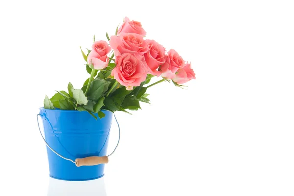 Bouquet pink roses — Stock Photo, Image