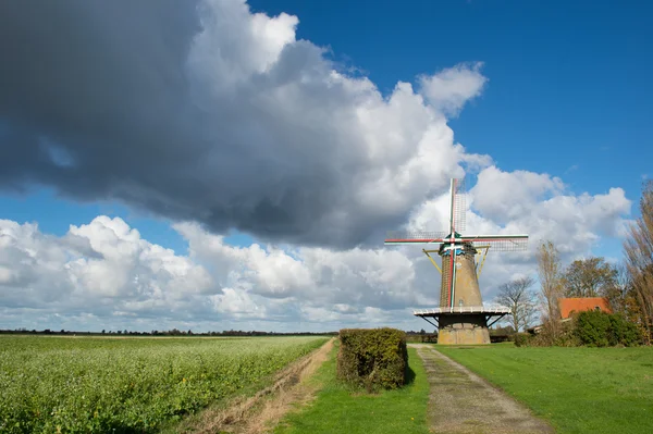 Moulin à vent néerlandais — Photo