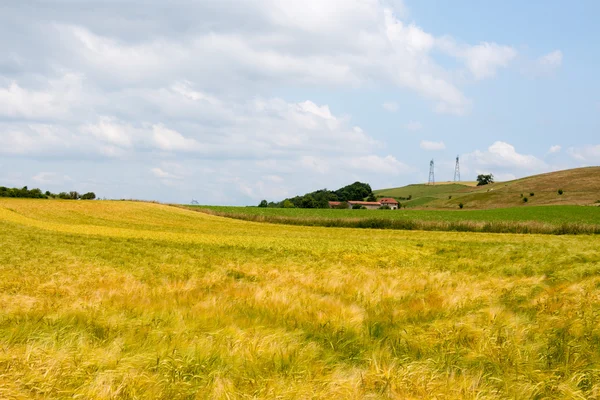 フランスの農業景観 — ストック写真