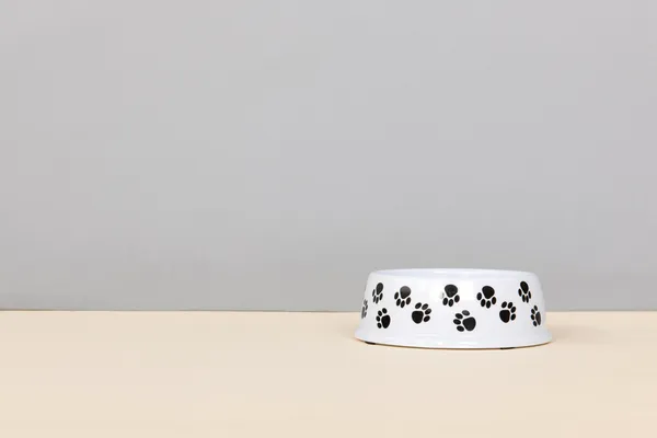 Food bowl animals — Stock Photo, Image