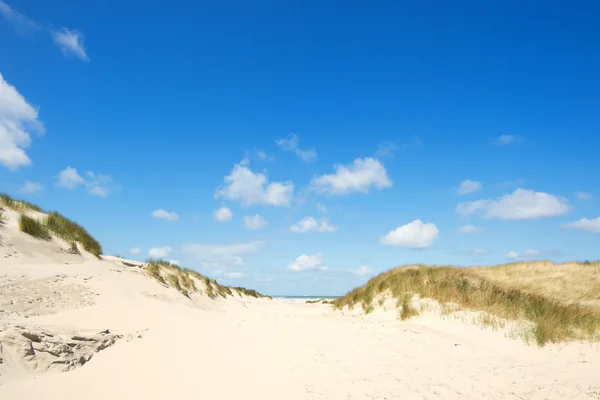 Wydm i plaży — Zdjęcie stockowe