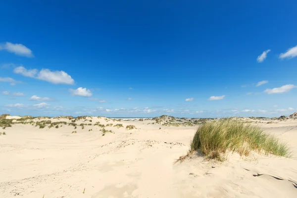 Dunas e praia — Fotografia de Stock