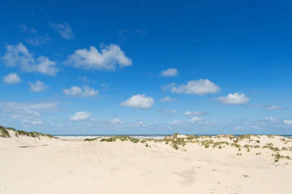 Dunas e praia — Fotografia de Stock