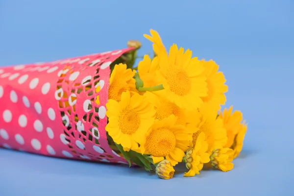 Buket gule blomster på blå baggrund - Stock-foto