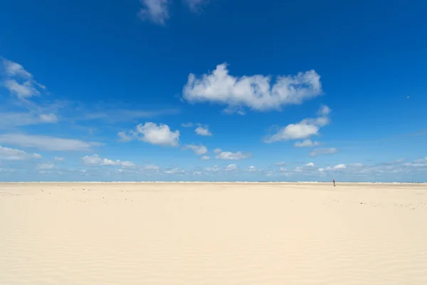 Holzstange am Strand — Stockfoto