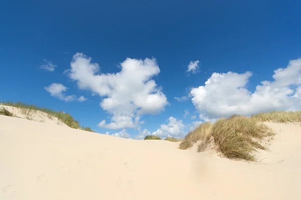 Dune sull'isola olandese di Wadden — Foto Stock