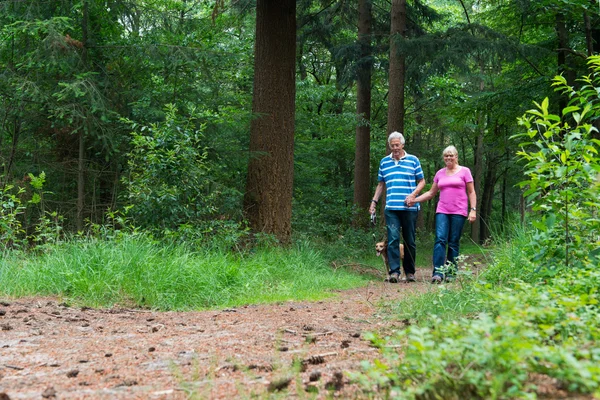 Senior couple walking with dog in nature — Stock Photo, Image