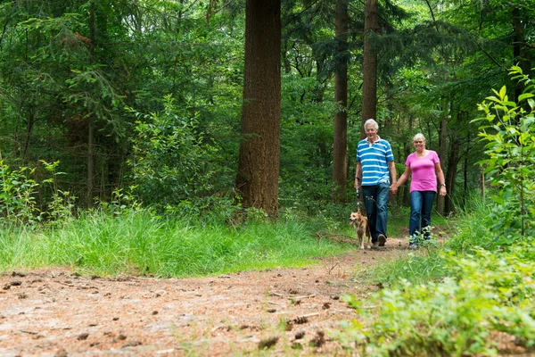 Senior koppel wandelen met de hond in de natuur — Stockfoto